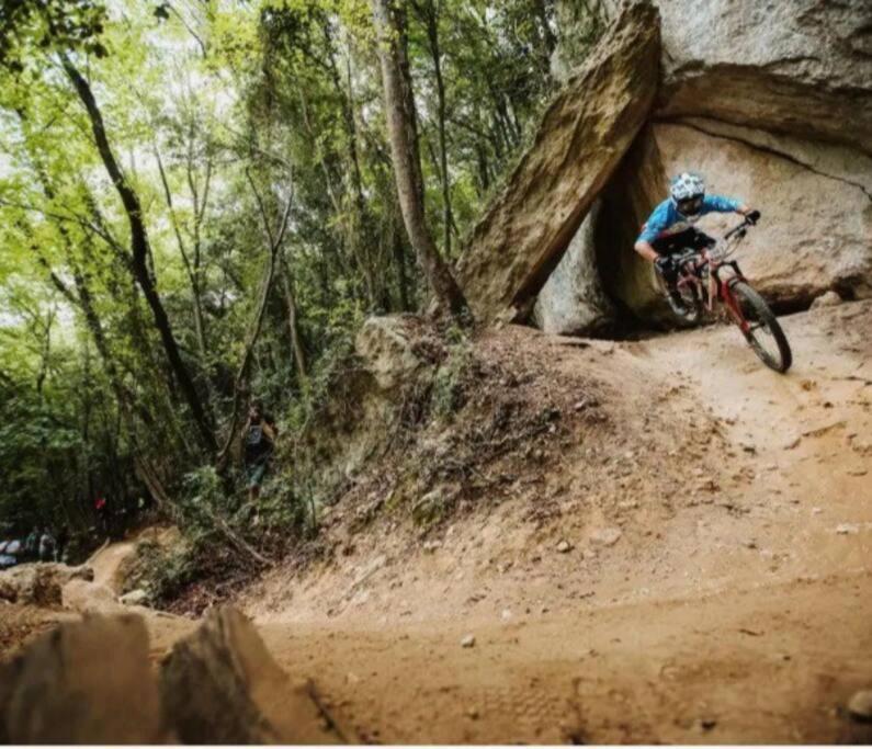 Nido Tra Gli Ulivi Finale Ligure Exterior foto